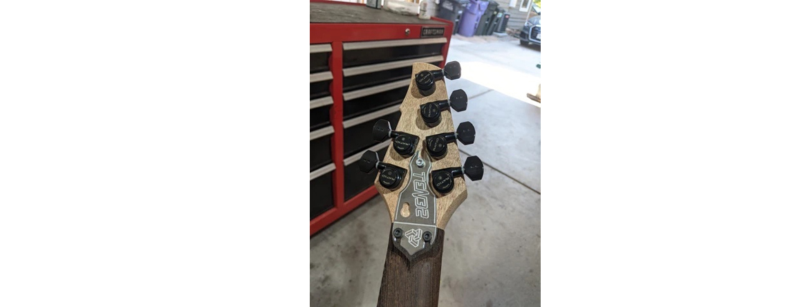 Ten32 Guitars - портативная дорожная гитара, модульная голова грифа, корпус, чехол для ручной клади
